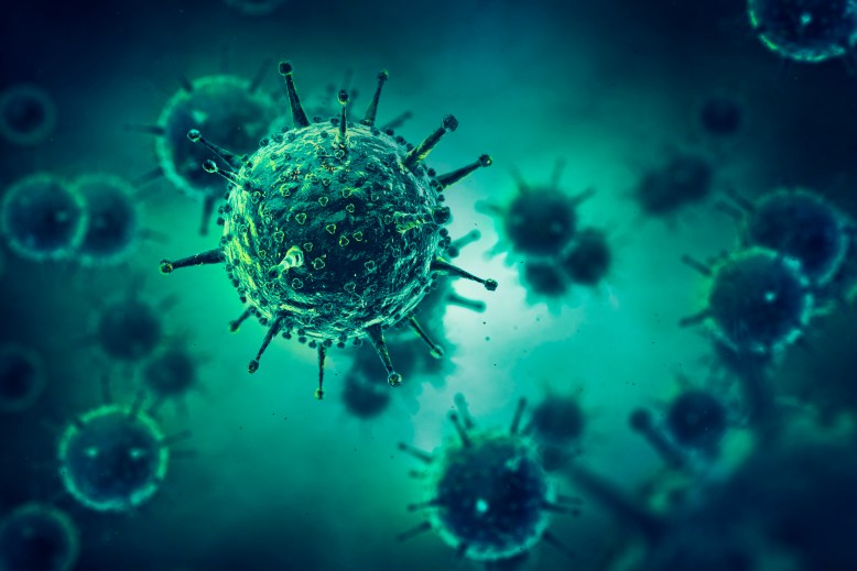 Enfeksiyon Hastalıkları